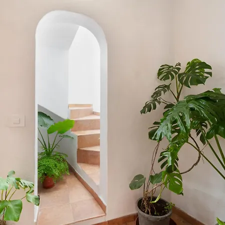 Casa En El Campo *